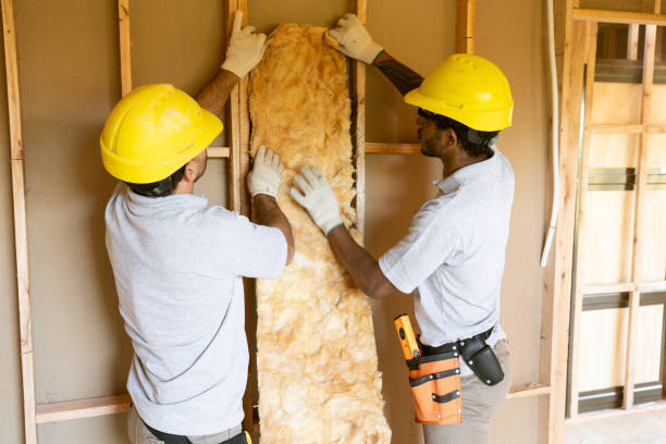Best Insulation Contractors for Homes  in Clarion, PA