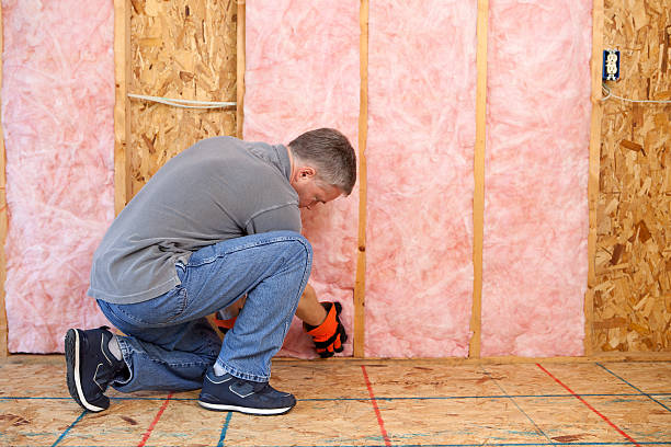 Best Energy-efficient Insulation  in Clarion, PA