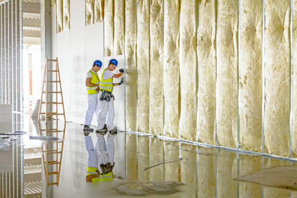 Best Crawl Space Insulation  in Clarion, PA